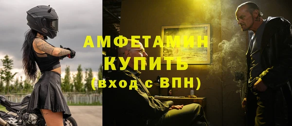 стаф Бородино