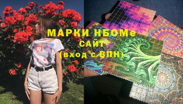 стаф Бородино