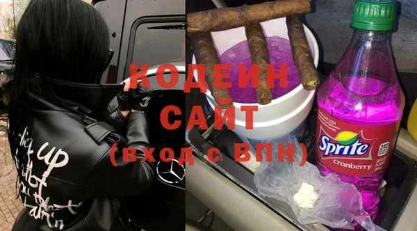 стаф Бородино