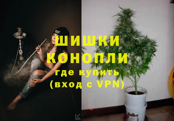 стаф Бородино