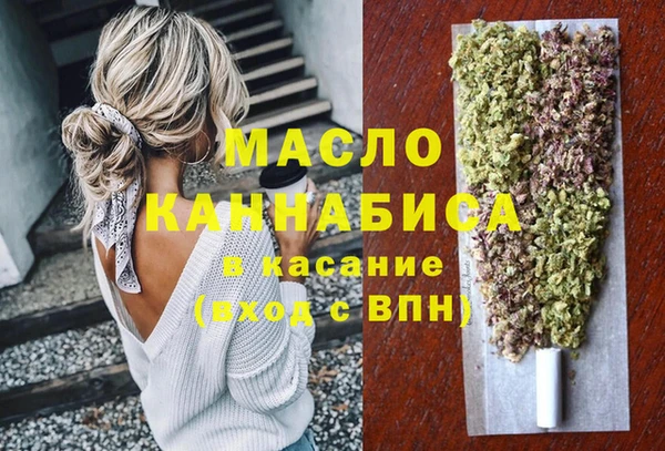 стаф Бородино