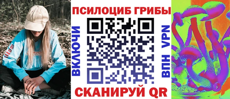 Псилоцибиновые грибы MAGIC MUSHROOMS Высоцк